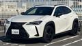 2021 Lexus UX