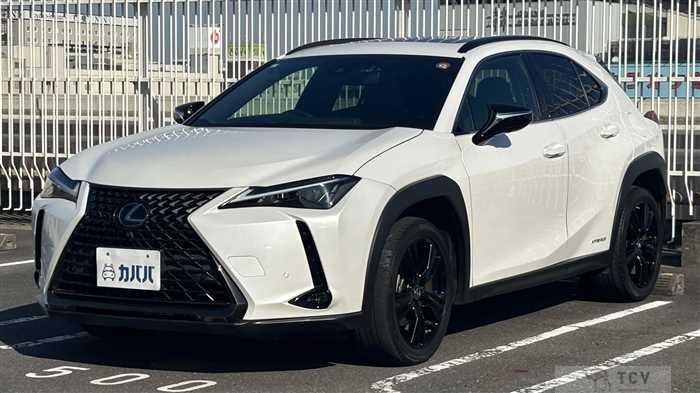 2021 Lexus UX