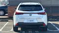 2021 Lexus UX
