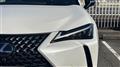 2021 Lexus UX