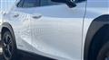 2021 Lexus UX