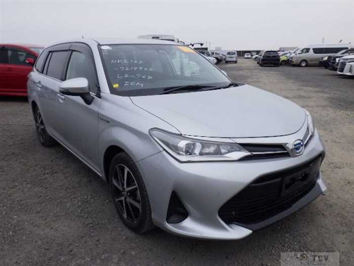 2019 Toyota Toyota Others