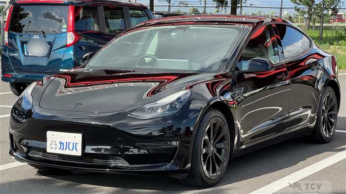 2021 Tesla Motors Others