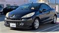 2007 Peugeot 207