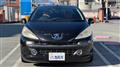 2007 Peugeot 207