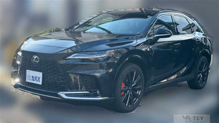 2025 Lexus RX
