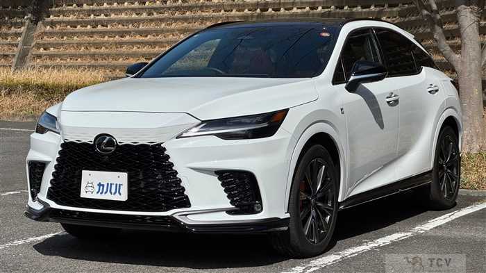 2025 Lexus RX