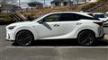 2025 Lexus RX