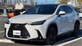 2023 Lexus NX