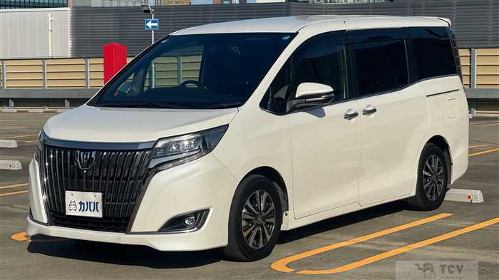 2019 Toyota Toyota Others