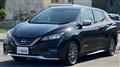 2021 Nissan Leaf