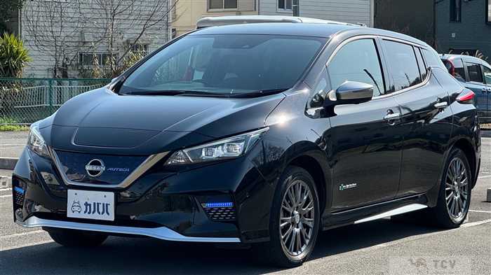 2021 Nissan Leaf