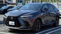 2023 Lexus NX