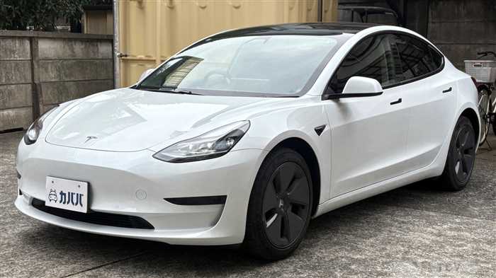 2021 Tesla Motors Others