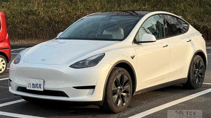 2025 Tesla Motors Others