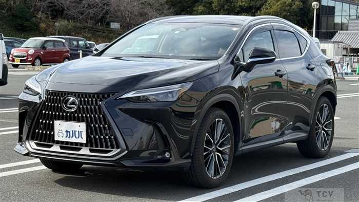 2023 Lexus NX