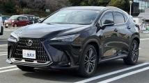 2023 Lexus NX