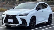 2023 Lexus NX