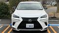 2019 Lexus NX