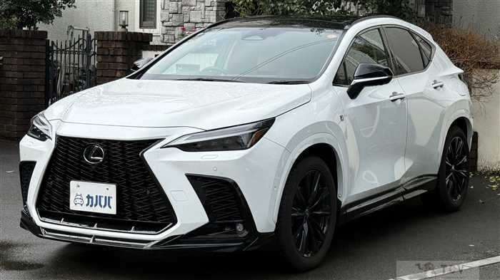 2025 Lexus NX