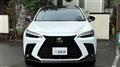 2025 Lexus NX