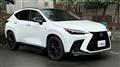 2025 Lexus NX