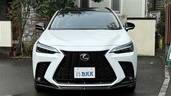 Lexus NX 2025 — фото 3 купить в Москве