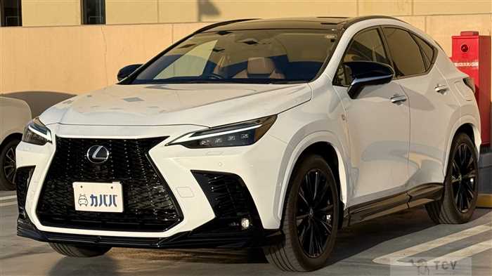 2024 Lexus NX