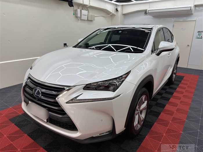 2016 Lexus NX
