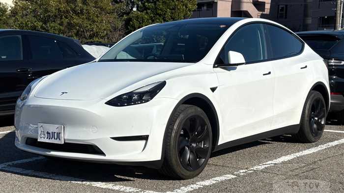 2023 Tesla Motors Others