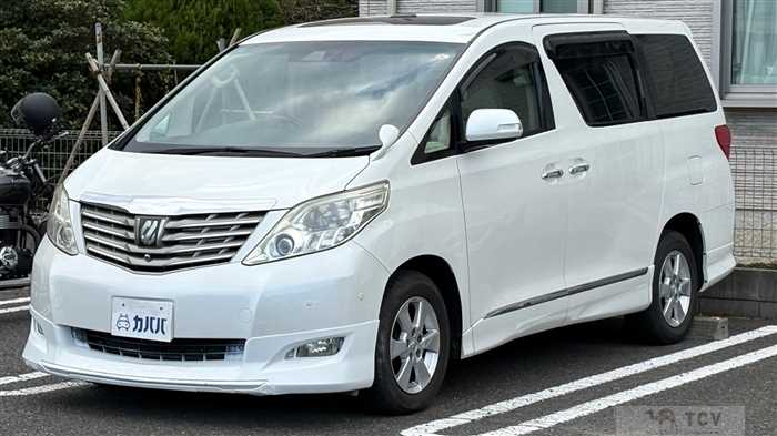 2010 Toyota Alphard