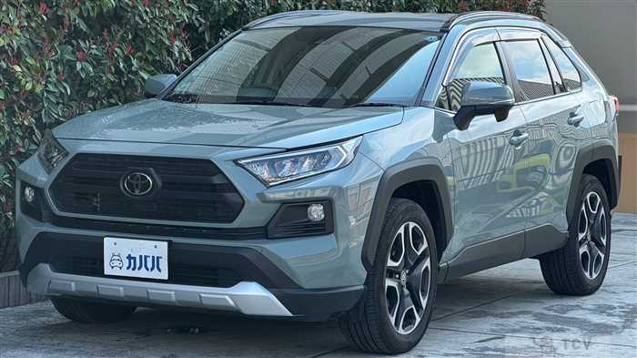 2019 Toyota RAV4