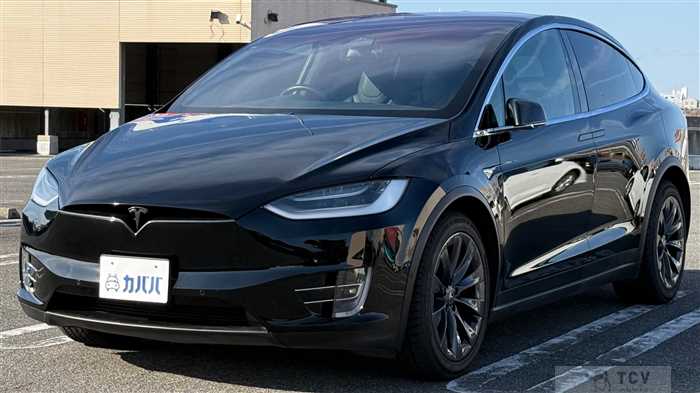2019 Tesla Motors Others