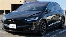 2019 Tesla Motors Others