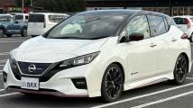 2021 Nissan Leaf