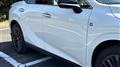 2025 Lexus RX