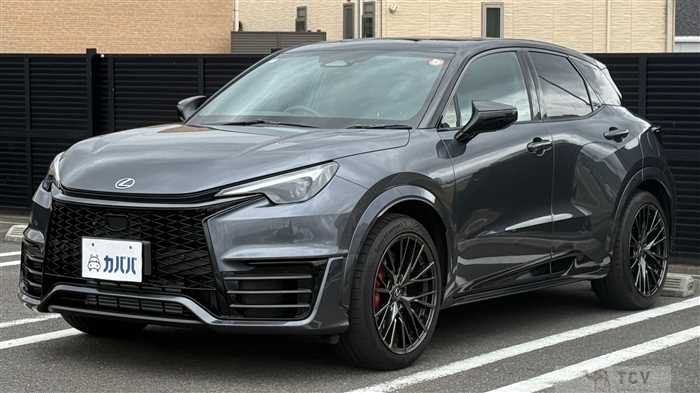 2024 Lexus Other
