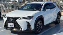 2019 Lexus UX