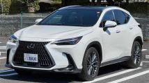 2023 Lexus NX