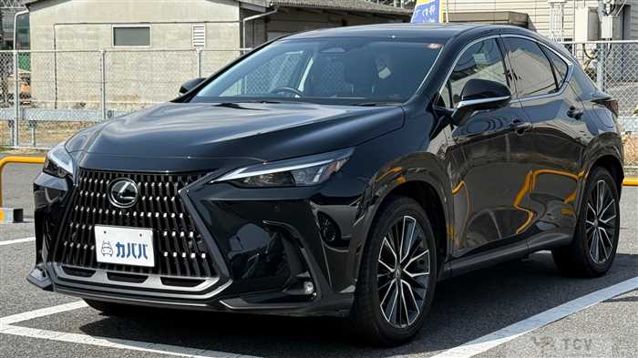 2024 Lexus NX