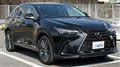 2024 Lexus NX