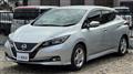 2018 Nissan Leaf