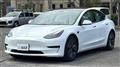 2021 Tesla Motors Others