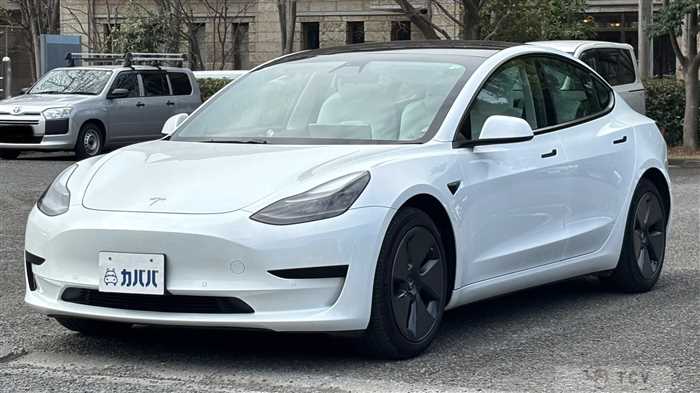 2021 Tesla Motors Others