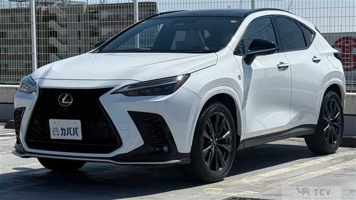 2023 Lexus NX