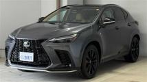 2024 Lexus NX