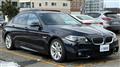 2015 BMW 5 Series