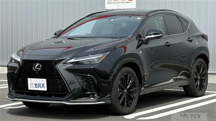 2023 Lexus NX