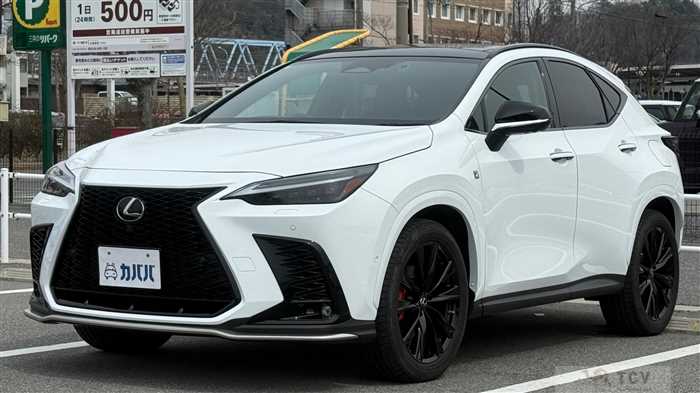 2023 Lexus NX