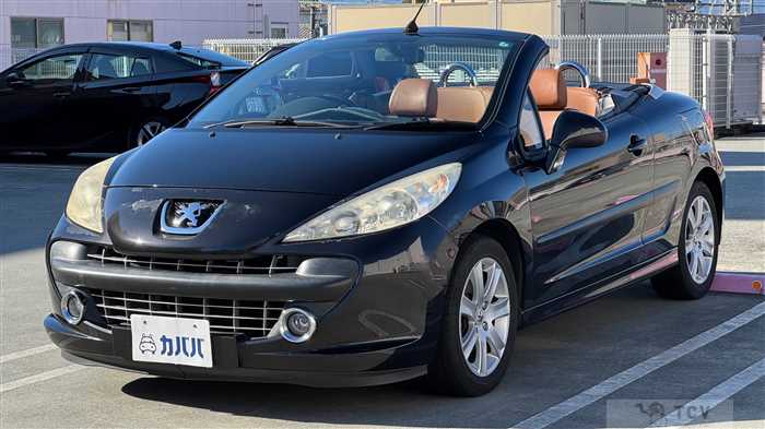 2007 Peugeot 207